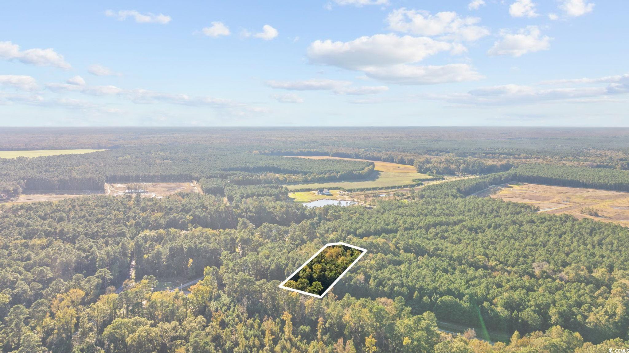 Tbd Mahalia Drive Conway, SC 29527 - Photo 4 of 21