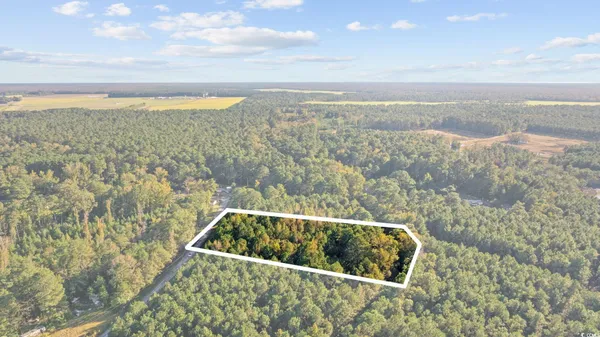 $60,000 | Tbd Mahalia Drive, Conway, SC 29527