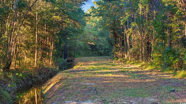 $60,000 | Tbd Mahalia Drive, Conway, SC 29527