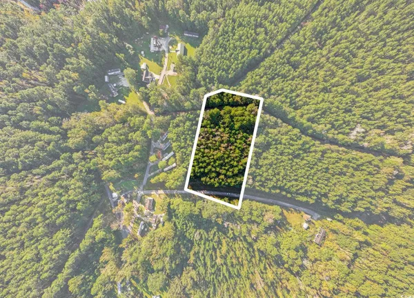 $60,000 | Tbd Mahalia Drive, Conway, SC 29527