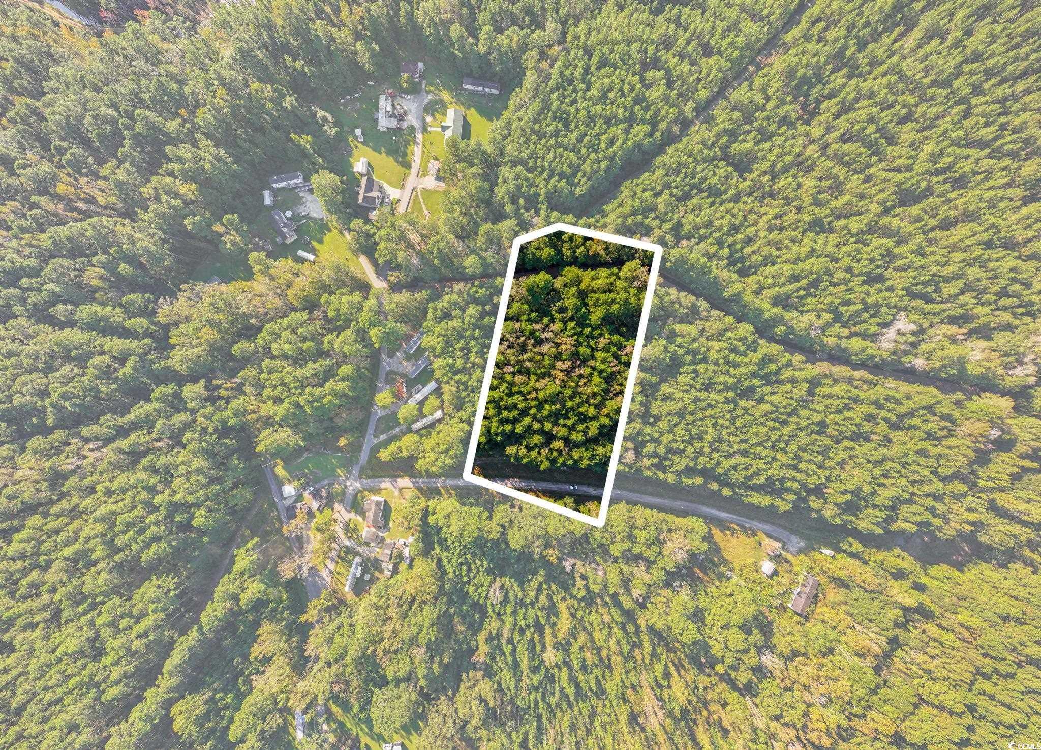 Tbd Mahalia Drive Conway, SC 29527 - Photo 8 of 21