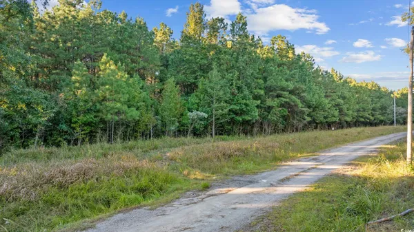 $60,000 | Tbd Mahalia Drive, Conway, SC 29527