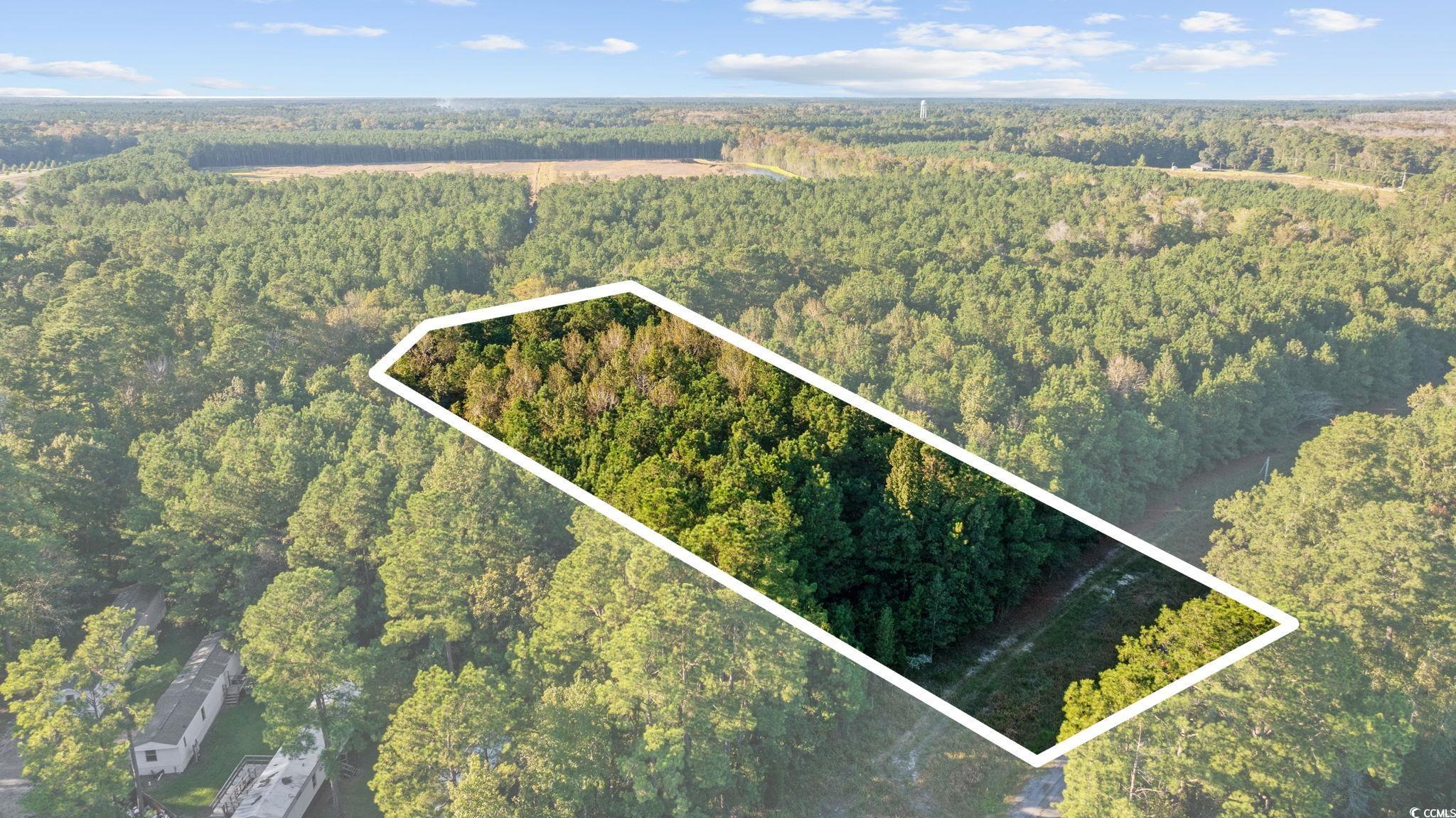 Tbd Mahalia Drive Conway, SC 29527 - Photo 10 of 21