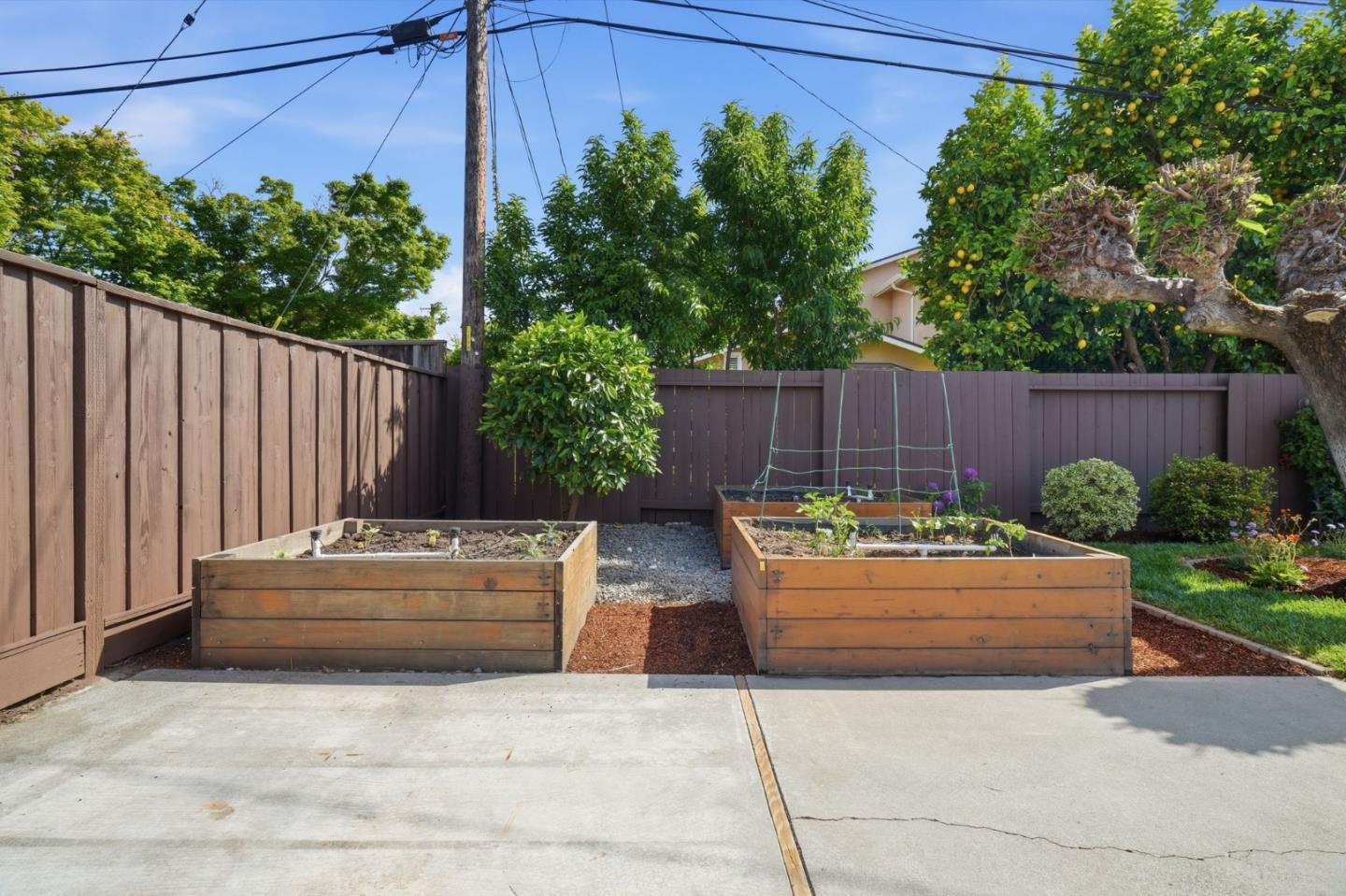 3802 West Rincon Avenue San Jose, CA 95008 - Photo 22 of 26 a backyard of a house with yard and outdoor seating