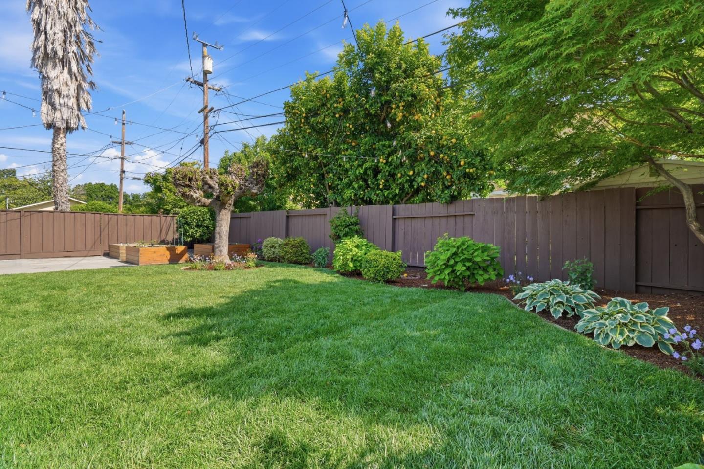 3802 West Rincon Avenue San Jose, CA 95008 - Photo 23 of 26 a garden view