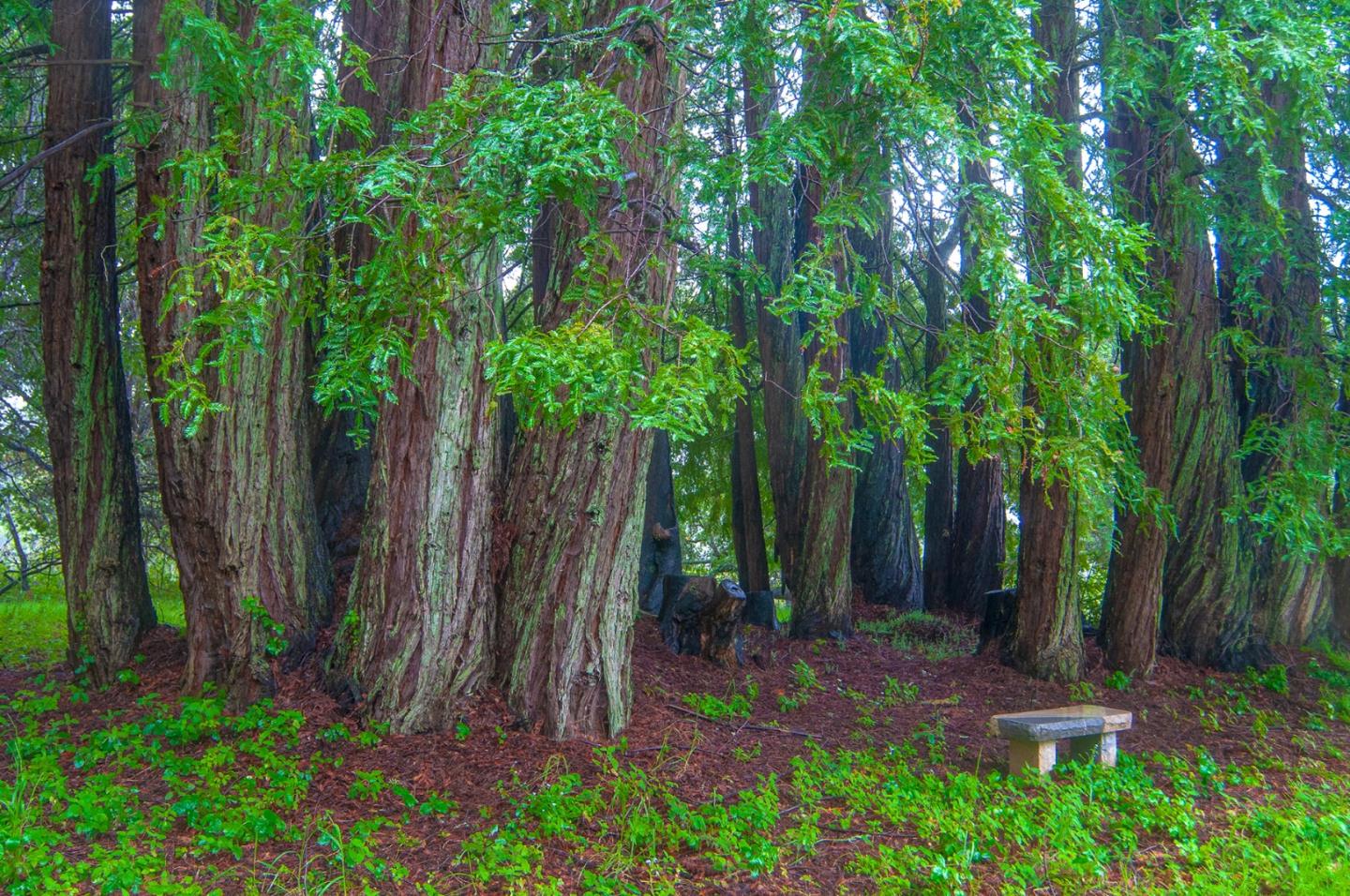 1800 Back Ranch Road Santa Cruz, CA 95060 - Photo 65 of 66 Gallery Image 65