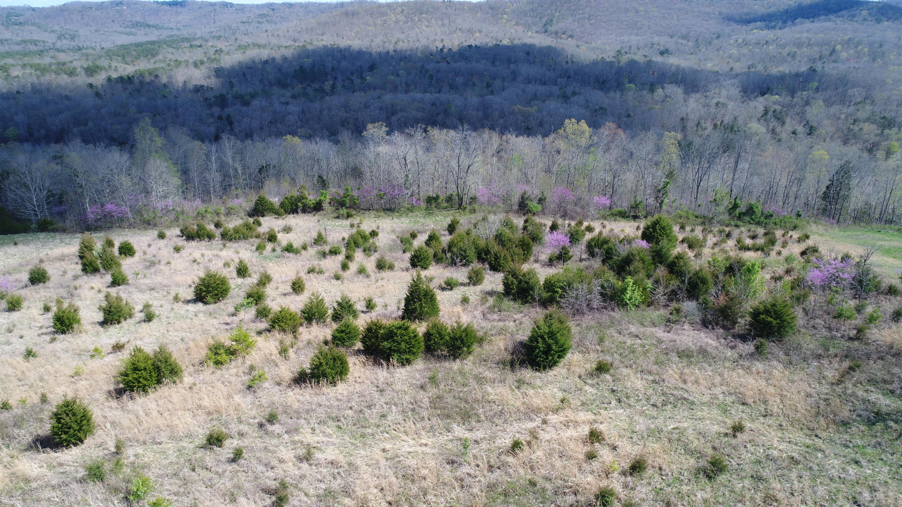 1315 Echo Point Road Bronston, KY 42518 - Photo 5 of 18 DJI_0255