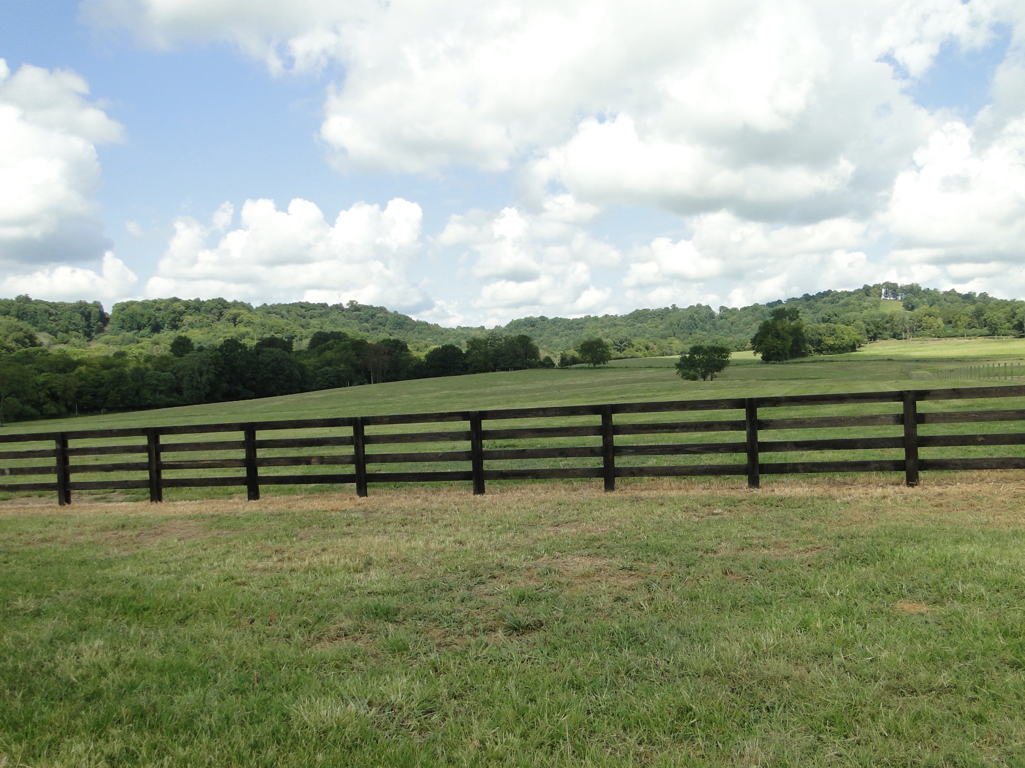 386 Creecy Hollow Road Pulaski, TN 38478 - Photo 40 of 49 Gallery Image 40