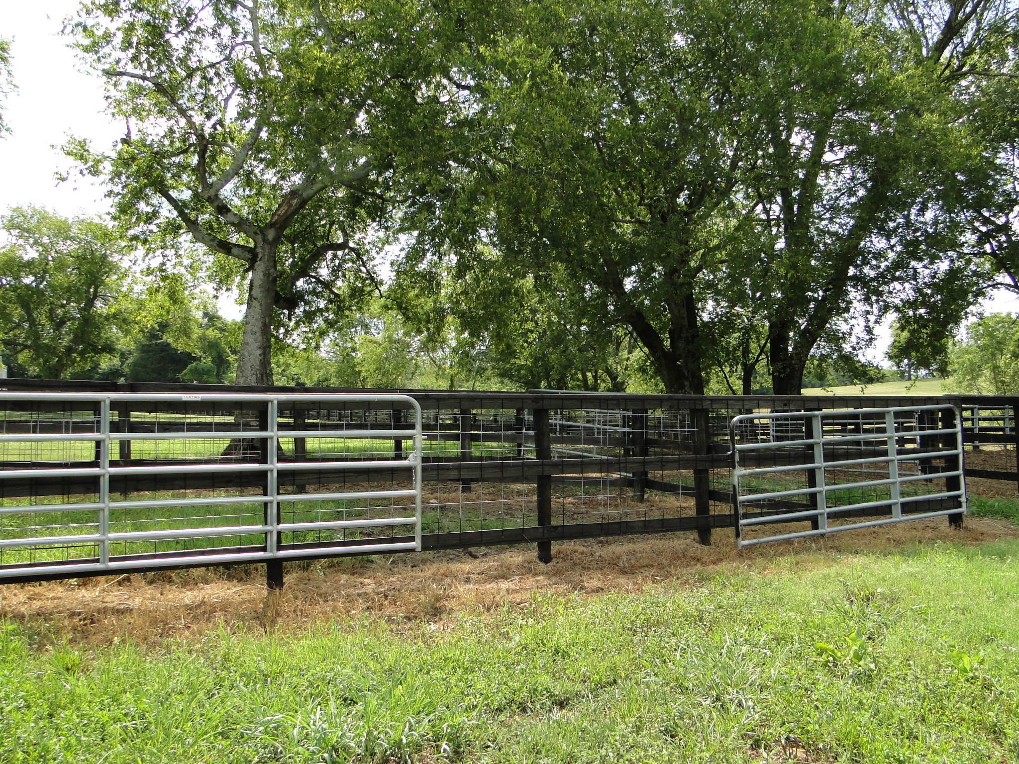 386 Creecy Hollow Road Pulaski, TN 38478 - Photo 44 of 49 Gallery Image 44