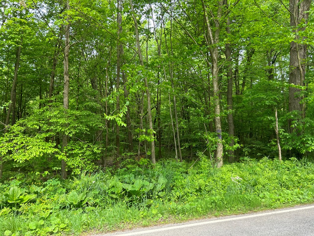 .. Horsecreek & Meadow Road Seneca, PA 16346 - Photo 11 of 14