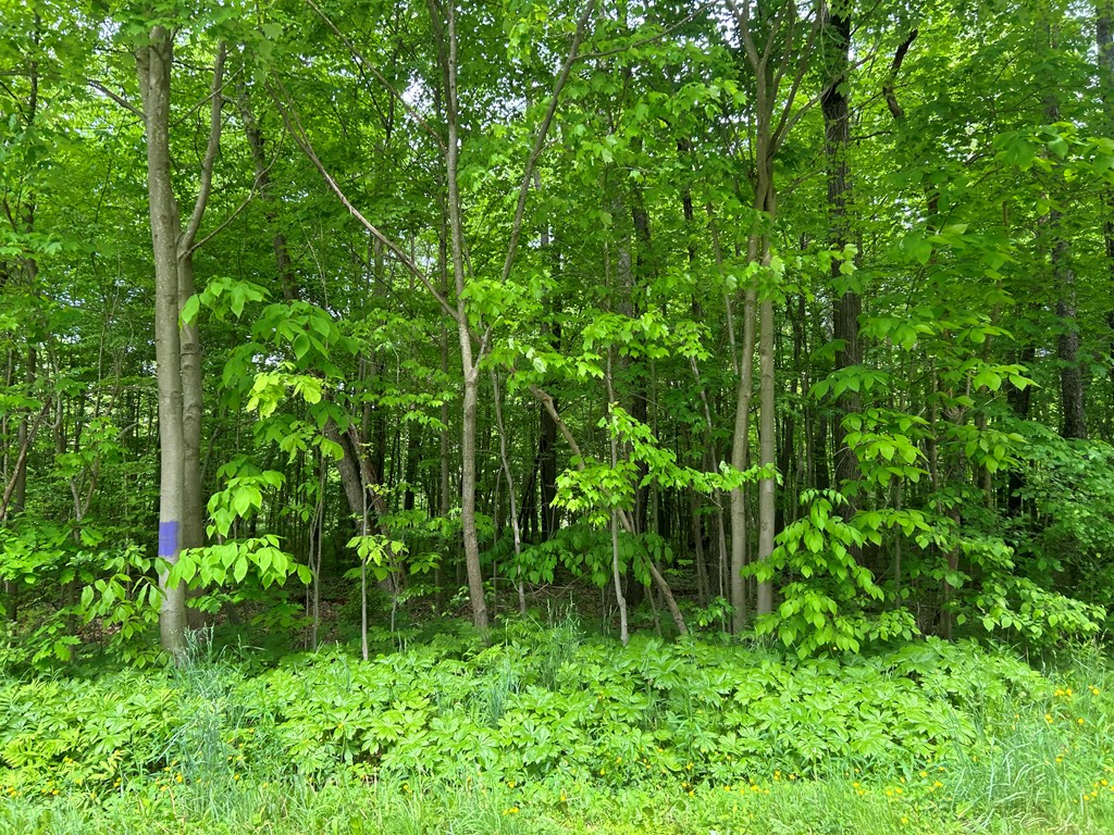 .. Horsecreek & Meadow Road Seneca, PA 16346 - Photo 12 of 14