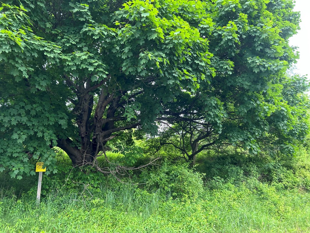 .. Horsecreek & Meadow Road Seneca, PA 16346 - Photo 7 of 14