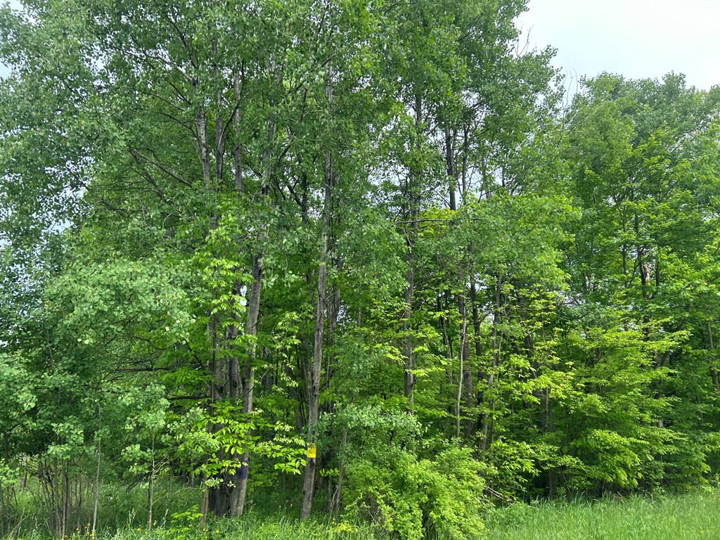 .. Horsecreek & Meadow Road Seneca, PA 16346 - Photo 9 of 14