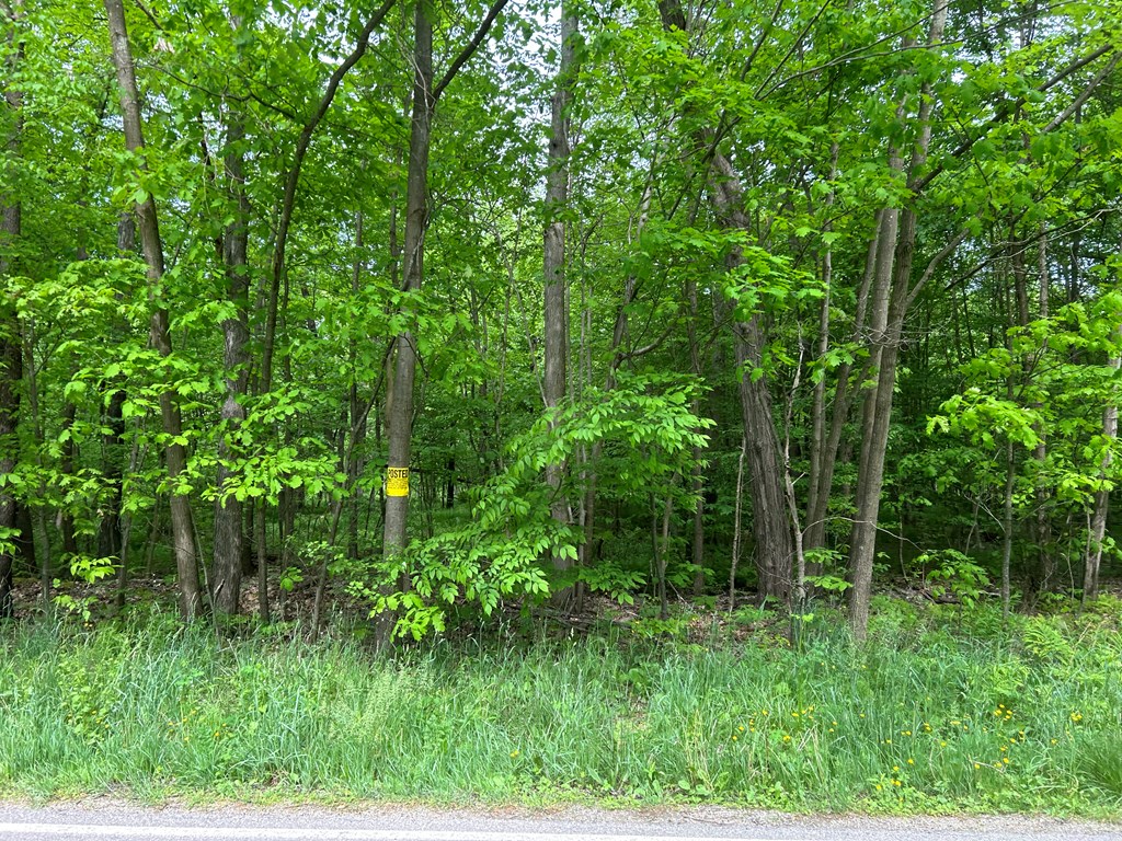 .. Horsecreek & Meadow Road Seneca, PA 16346 - Photo 10 of 14