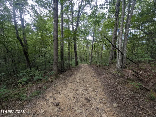 $119,900 | Hollow Creek Lane, Clarkrange, TN 38553