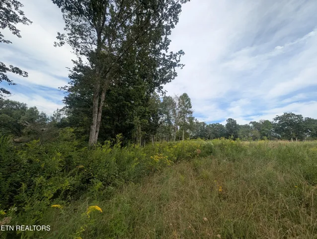 $119,900 | Hollow Creek Lane, Clarkrange, TN 38553