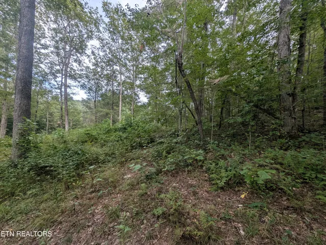 $119,900 | Hollow Creek Lane, Clarkrange, TN 38553