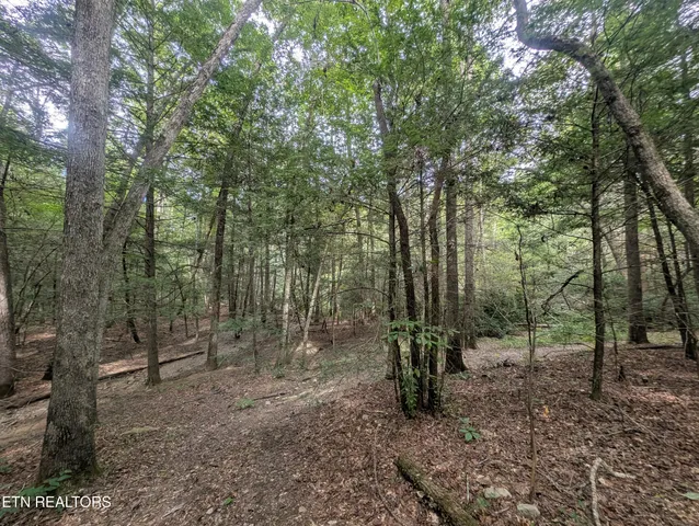 $119,900 | Hollow Creek Lane, Clarkrange, TN 38553