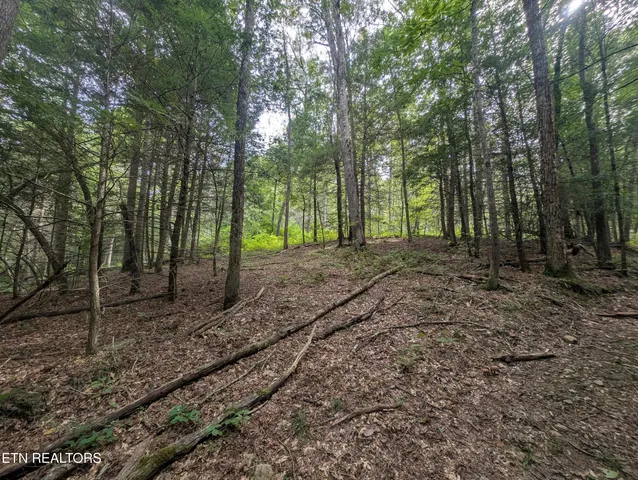 $119,900 | Hollow Creek Lane, Clarkrange, TN 38553