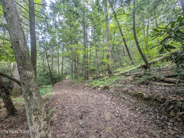 $119,900 | Hollow Creek Lane, Clarkrange, TN 38553