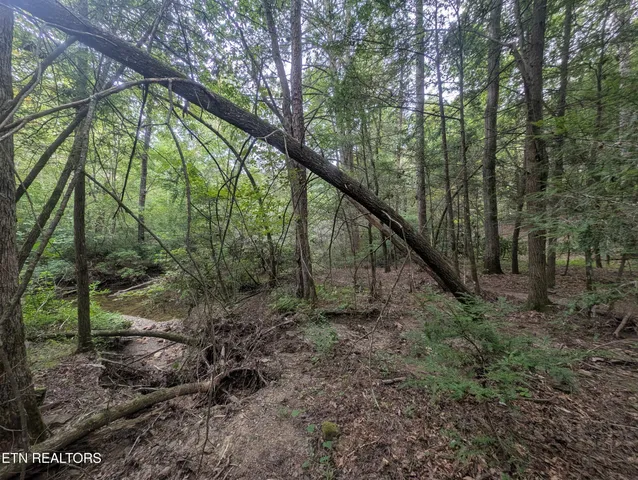 $119,900 | Hollow Creek Lane, Clarkrange, TN 38553