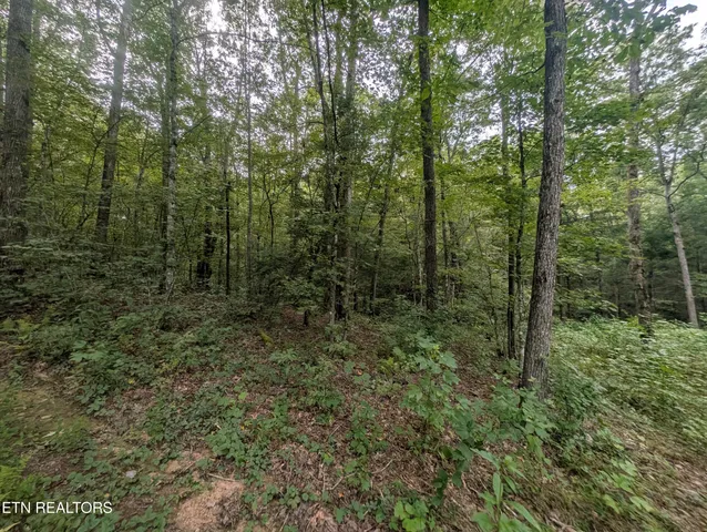$119,900 | Hollow Creek Lane, Clarkrange, TN 38553