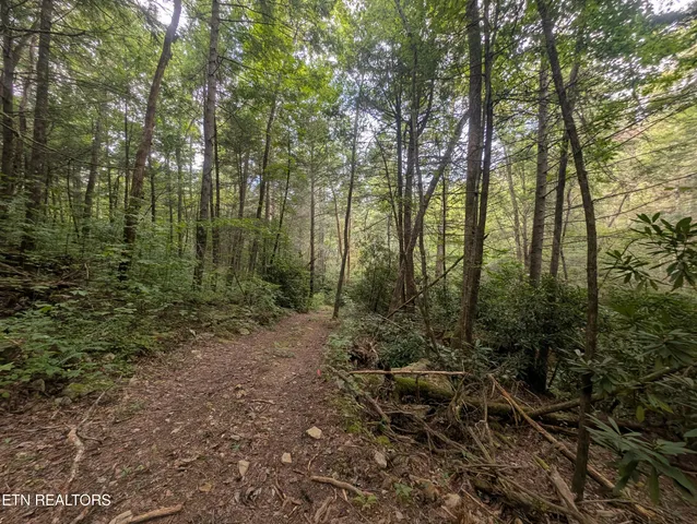 $119,900 | Hollow Creek Lane, Clarkrange, TN 38553