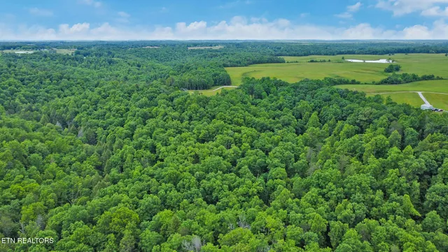 $119,900 | Hollow Creek Lane, Clarkrange, TN 38553