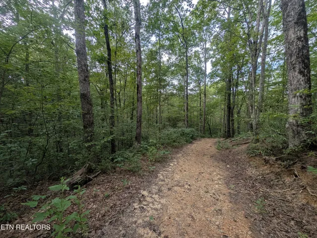 $119,900 | Hollow Creek Lane, Clarkrange, TN 38553