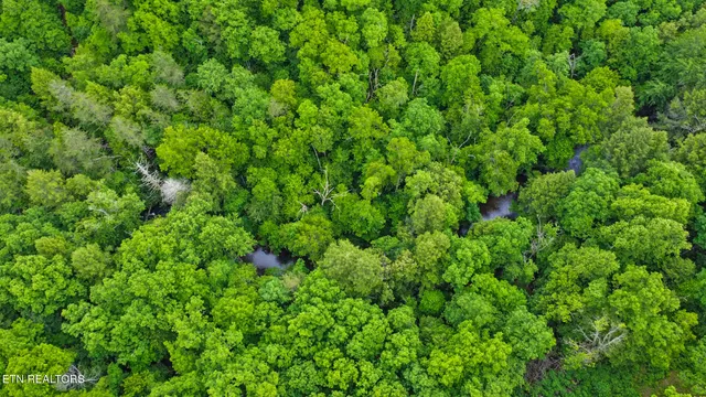 $119,900 | Hollow Creek Lane, Clarkrange, TN 38553