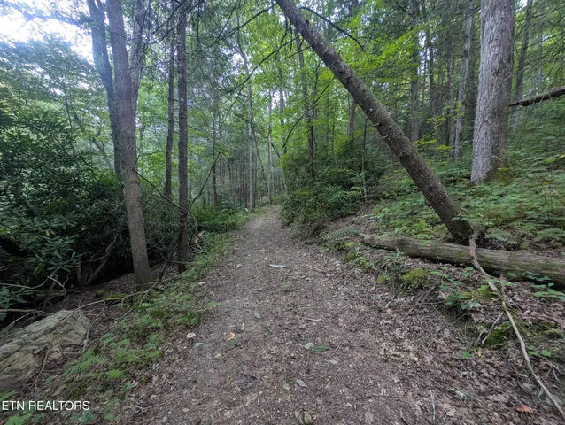 $119,900 | Hollow Creek Lane, Clarkrange, TN 38553