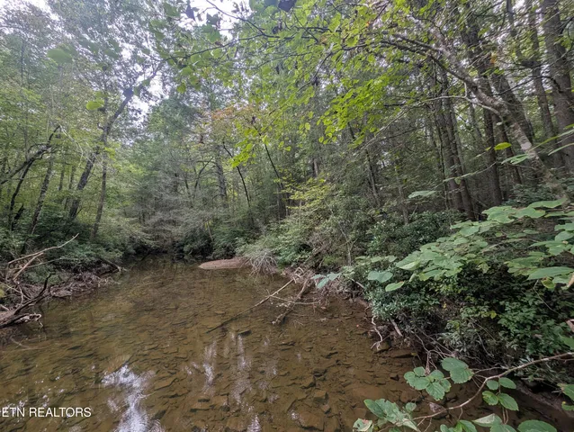 $119,900 | Hollow Creek Lane, Clarkrange, TN 38553