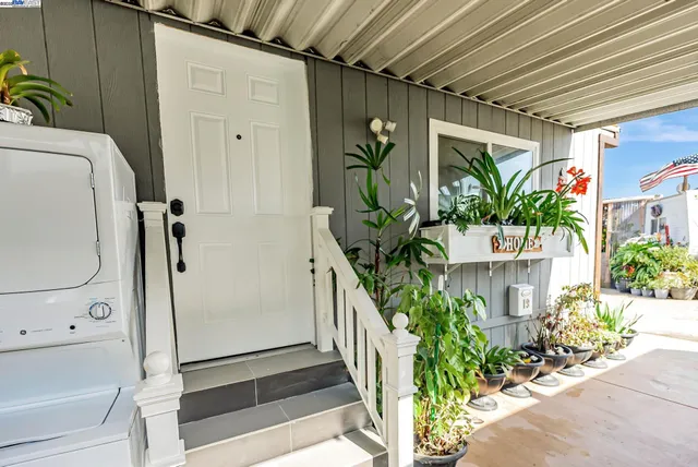a potted plant sitting in front of a house