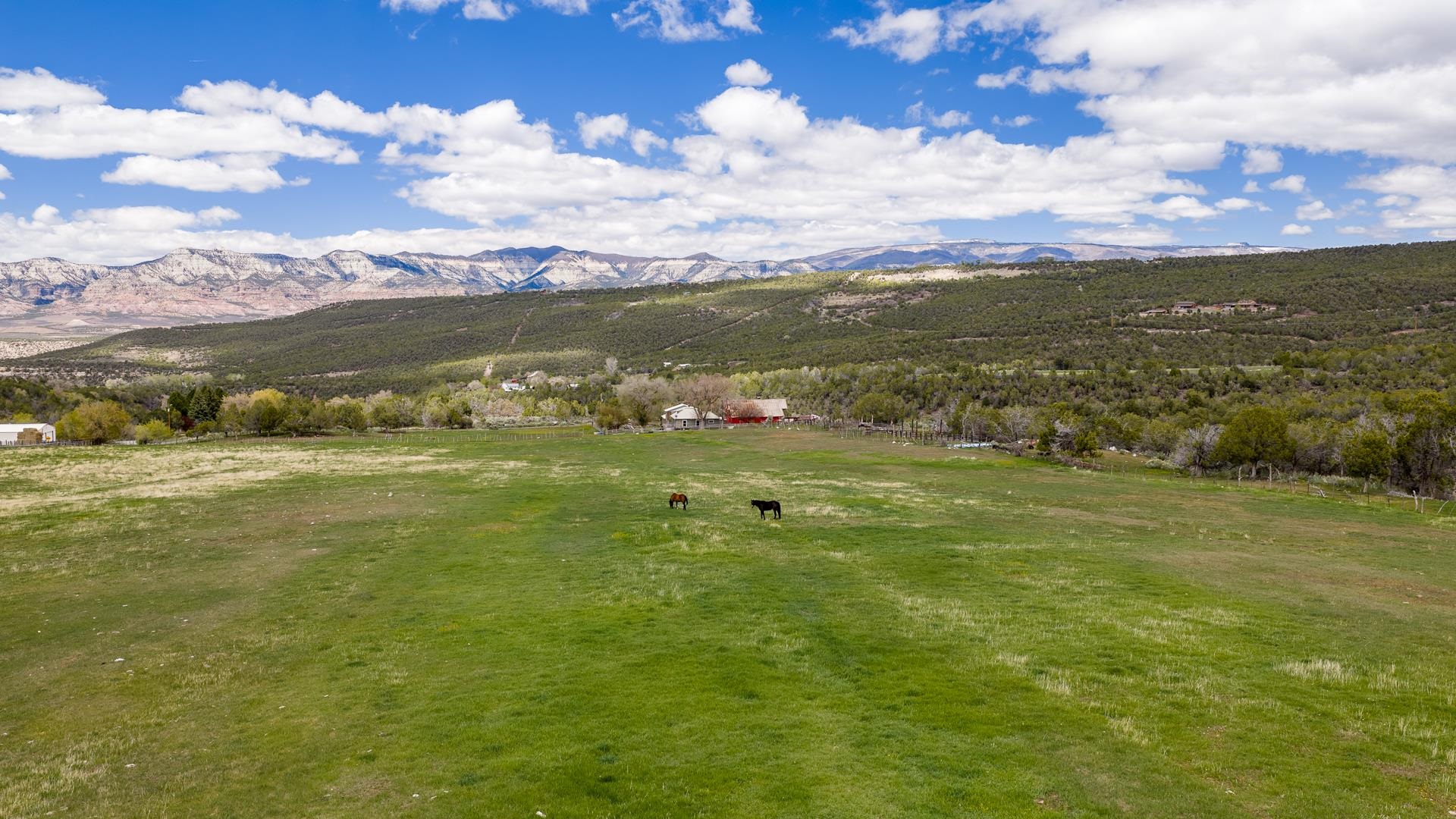 11260 54 7/10 Road Molina, CO 81646 - Photo 24 of 31