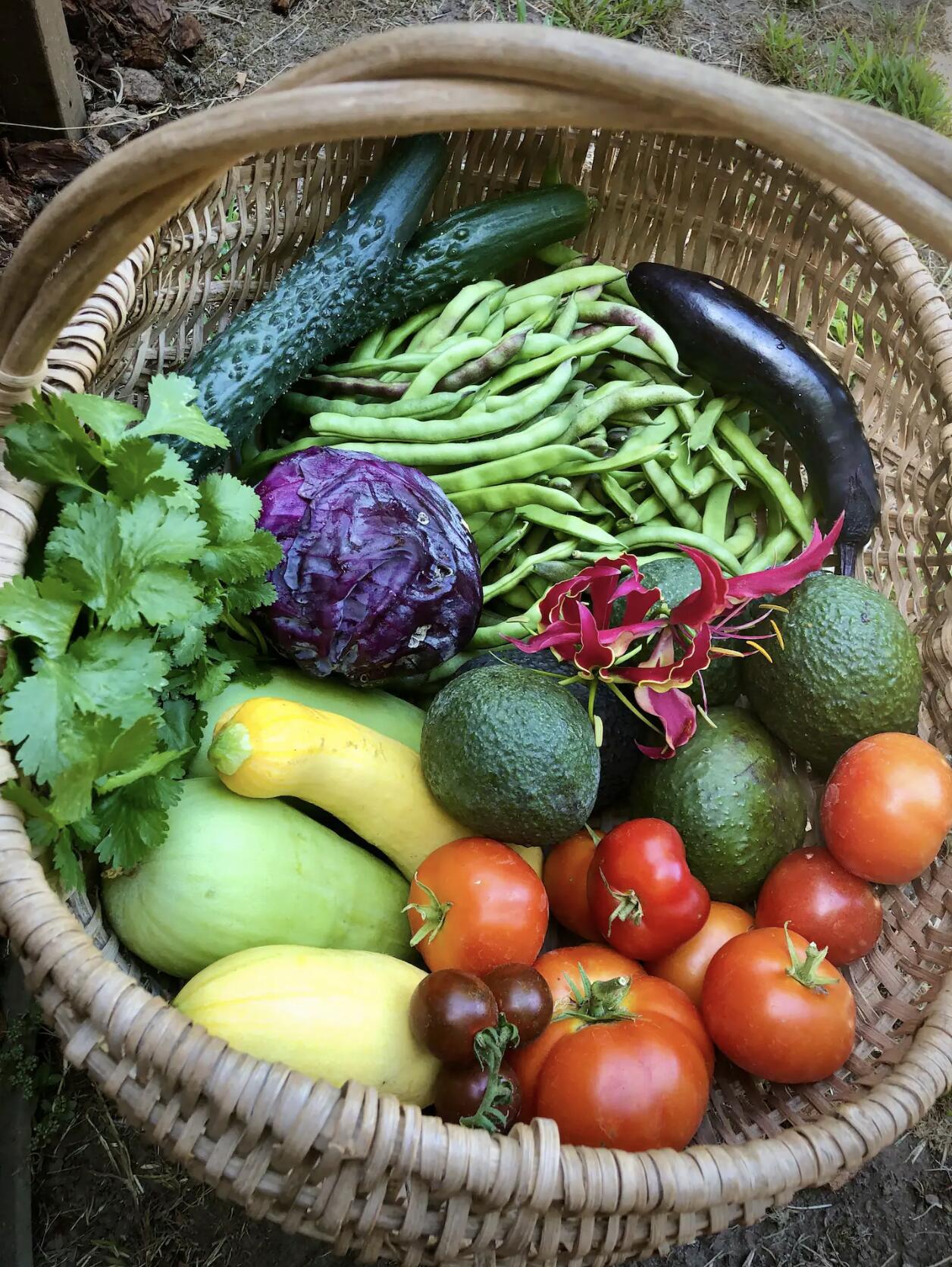 1608 Bath Street Santa Barbara, CA 93101 - Photo 14 of 15 a view of an outdoor space with a table