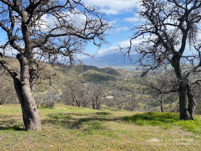 0 Piute Meadows Road Caliente, CA 93518 - Photo 9 of 18 Gallery Image 9