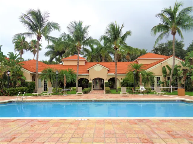 a view of a palm trees