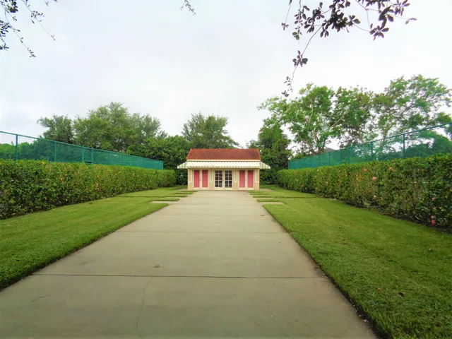 a view of a flower in a pink plant