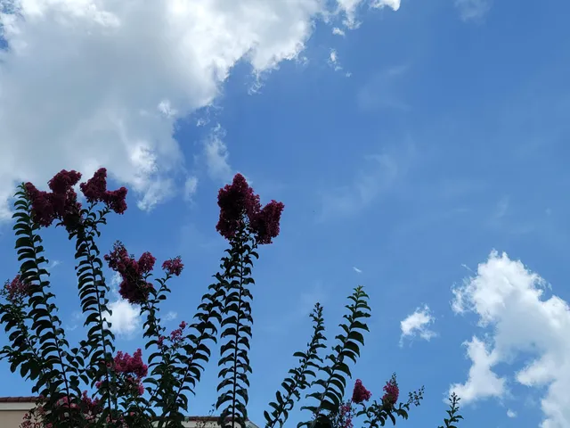 a swimming pool view with a outdoor seating