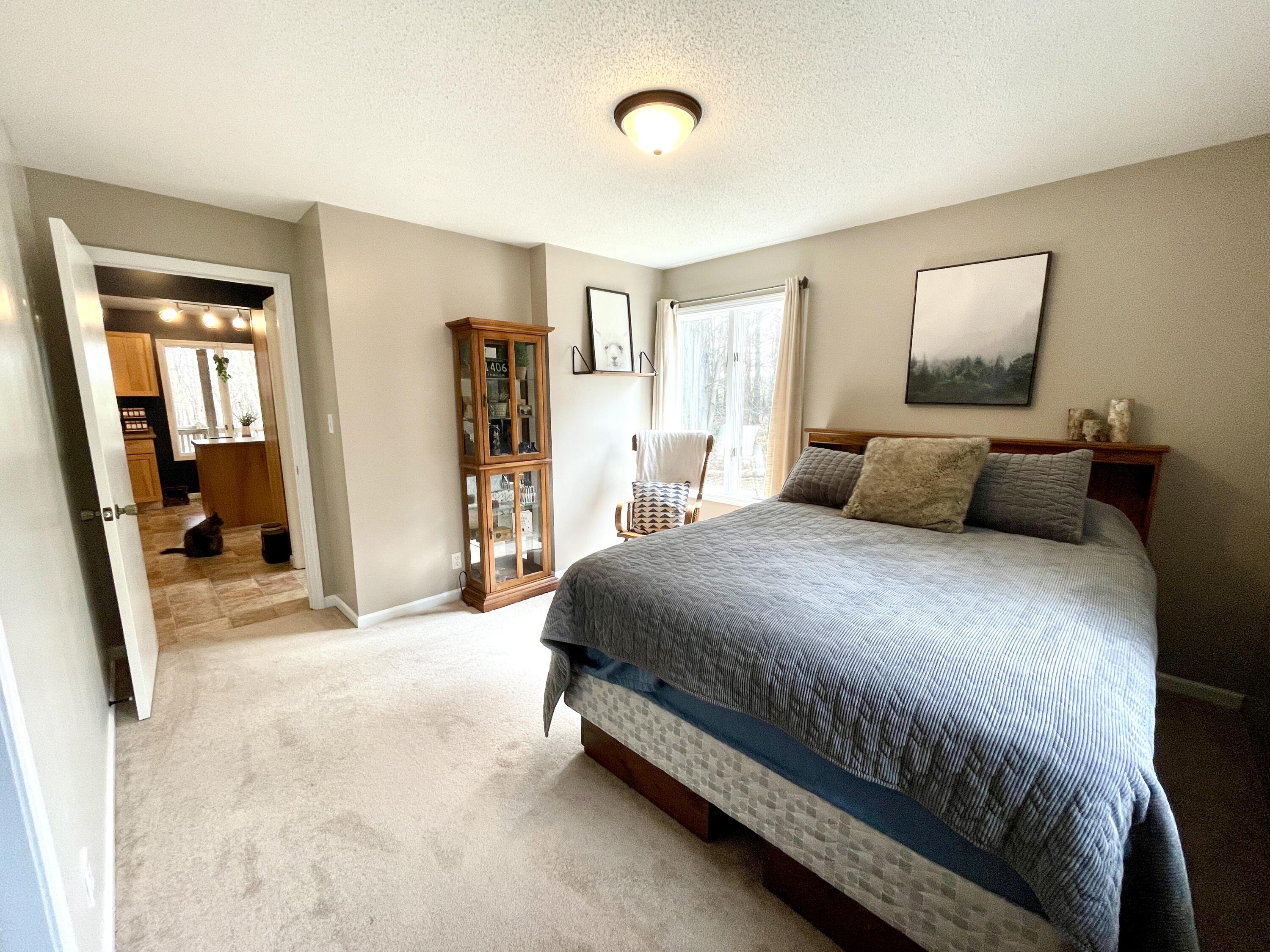 2784 Edgar Road Edmore, MI 48829 - Photo 12 of 20 Sopers-9