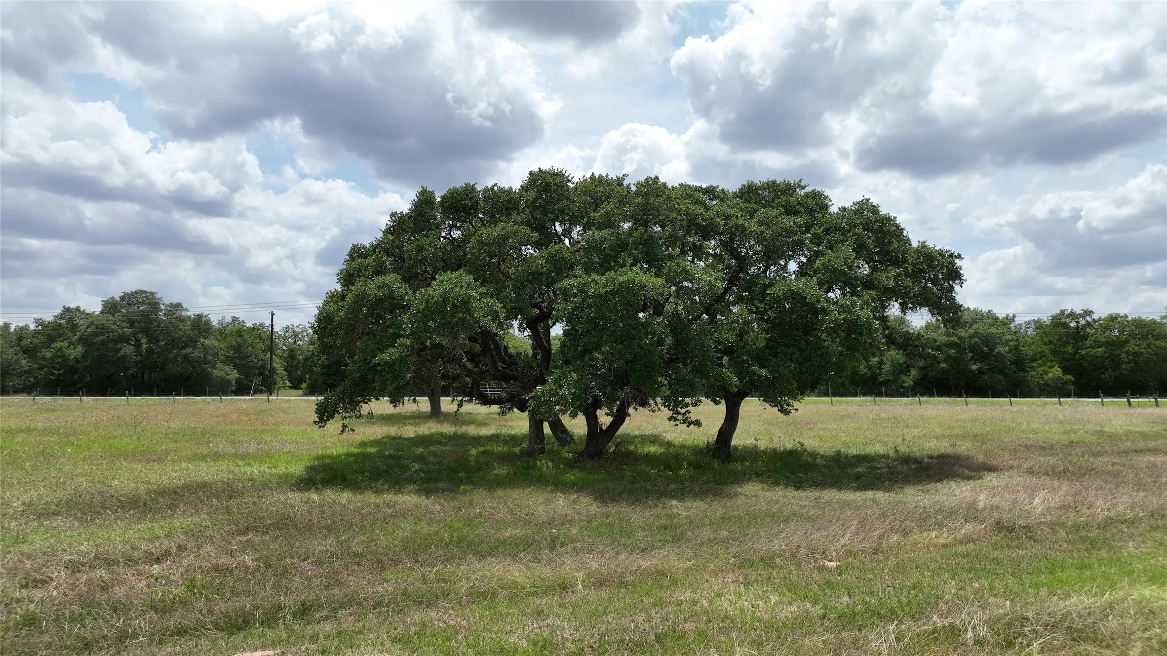 2003 Oak Ridge Road Weimar, TX 78962 - Photo 34 of 35 a view of grassy field with trees