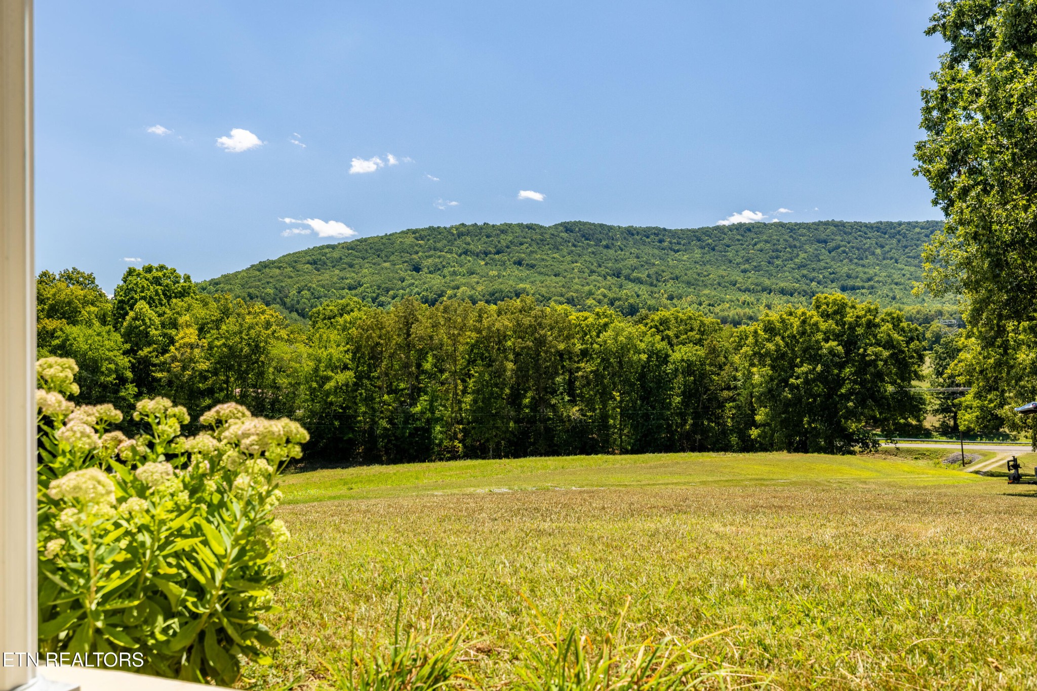 3865 Ballplay Road Tellico Plains, TN 37385 - Photo 17 of 46