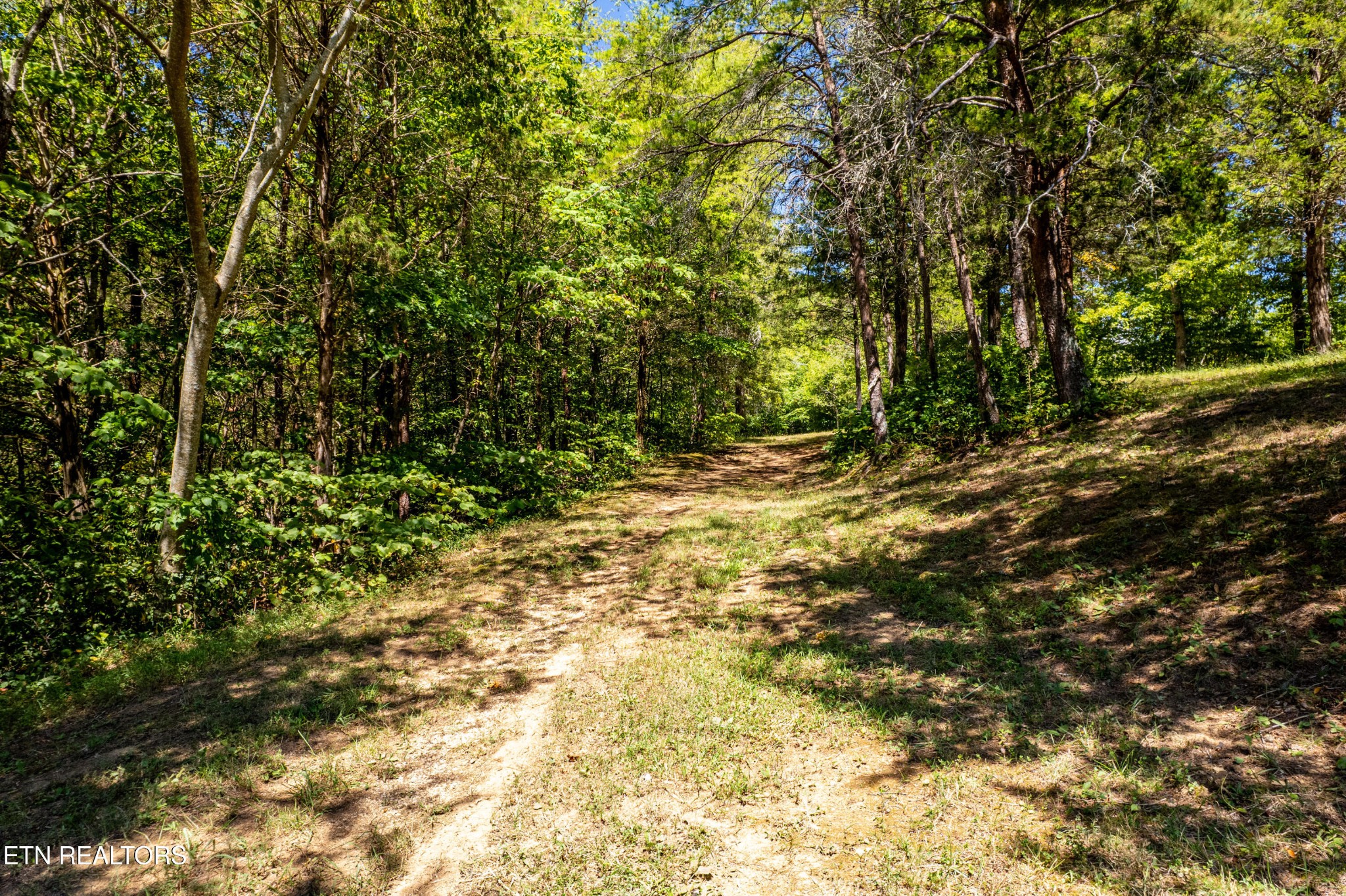3865 Ballplay Road Tellico Plains, TN 37385 - Photo 21 of 46