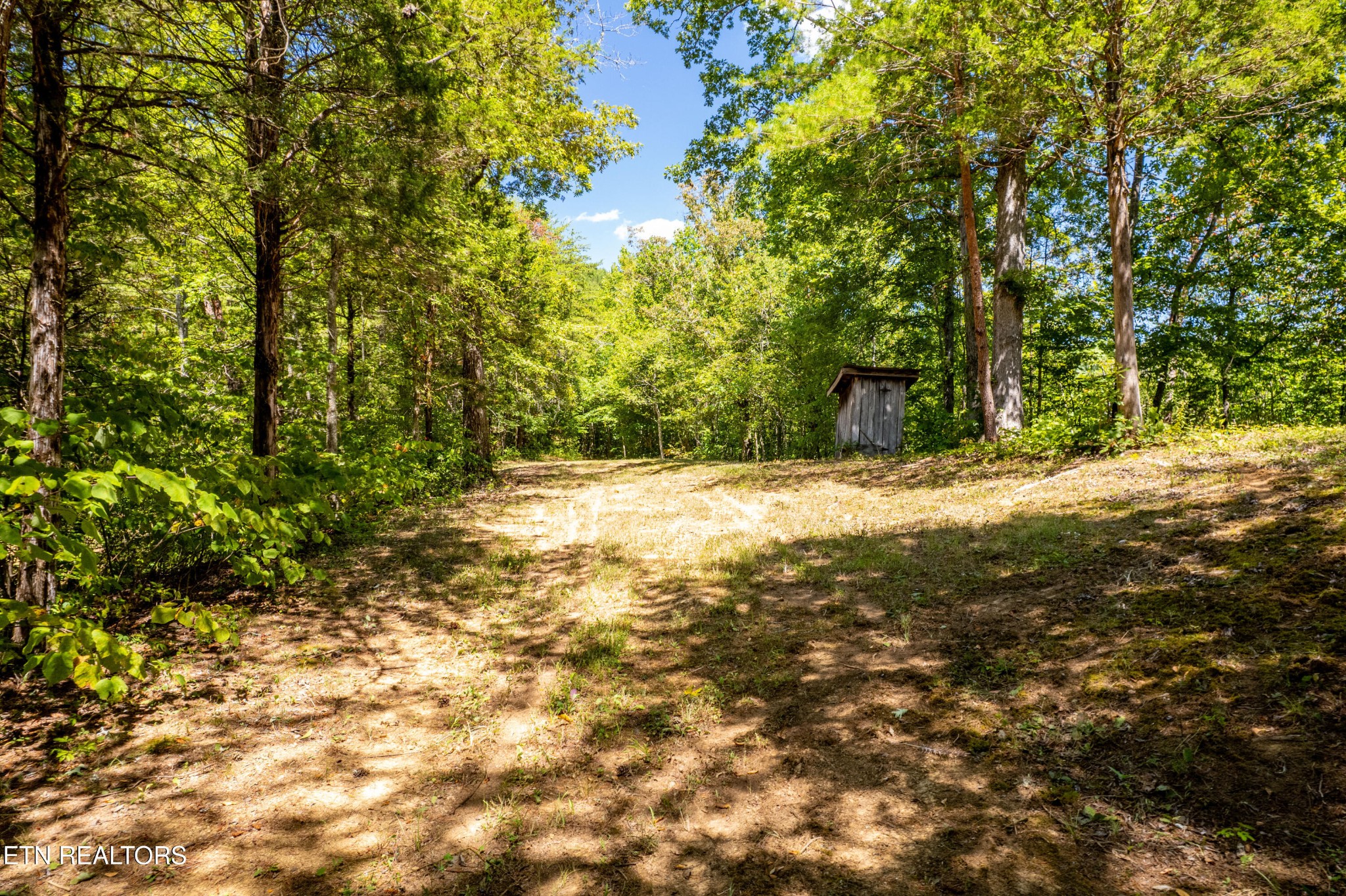 3865 Ballplay Road Tellico Plains, TN 37385 - Photo 22 of 46