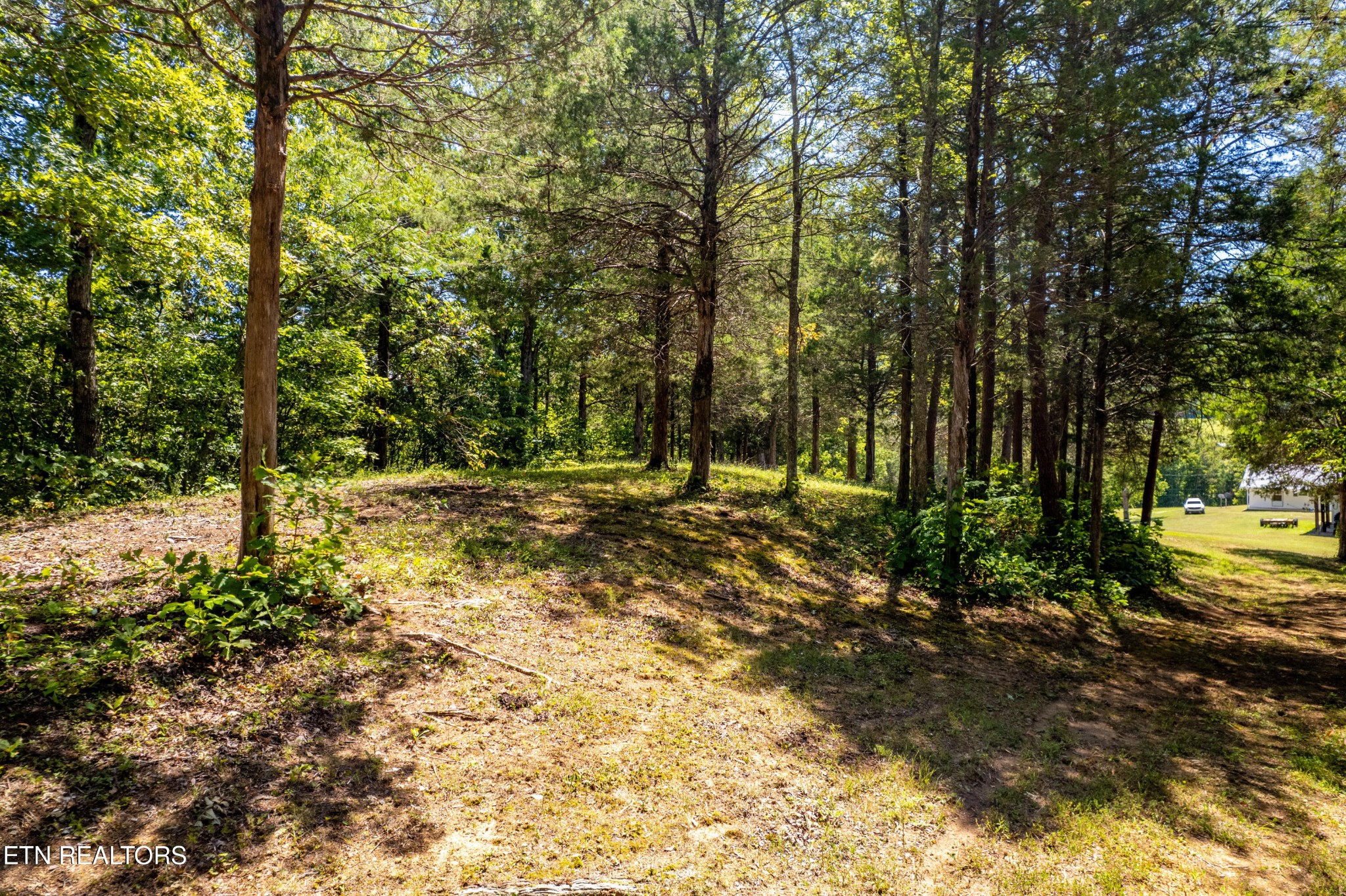 3865 Ballplay Road Tellico Plains, TN 37385 - Photo 24 of 46