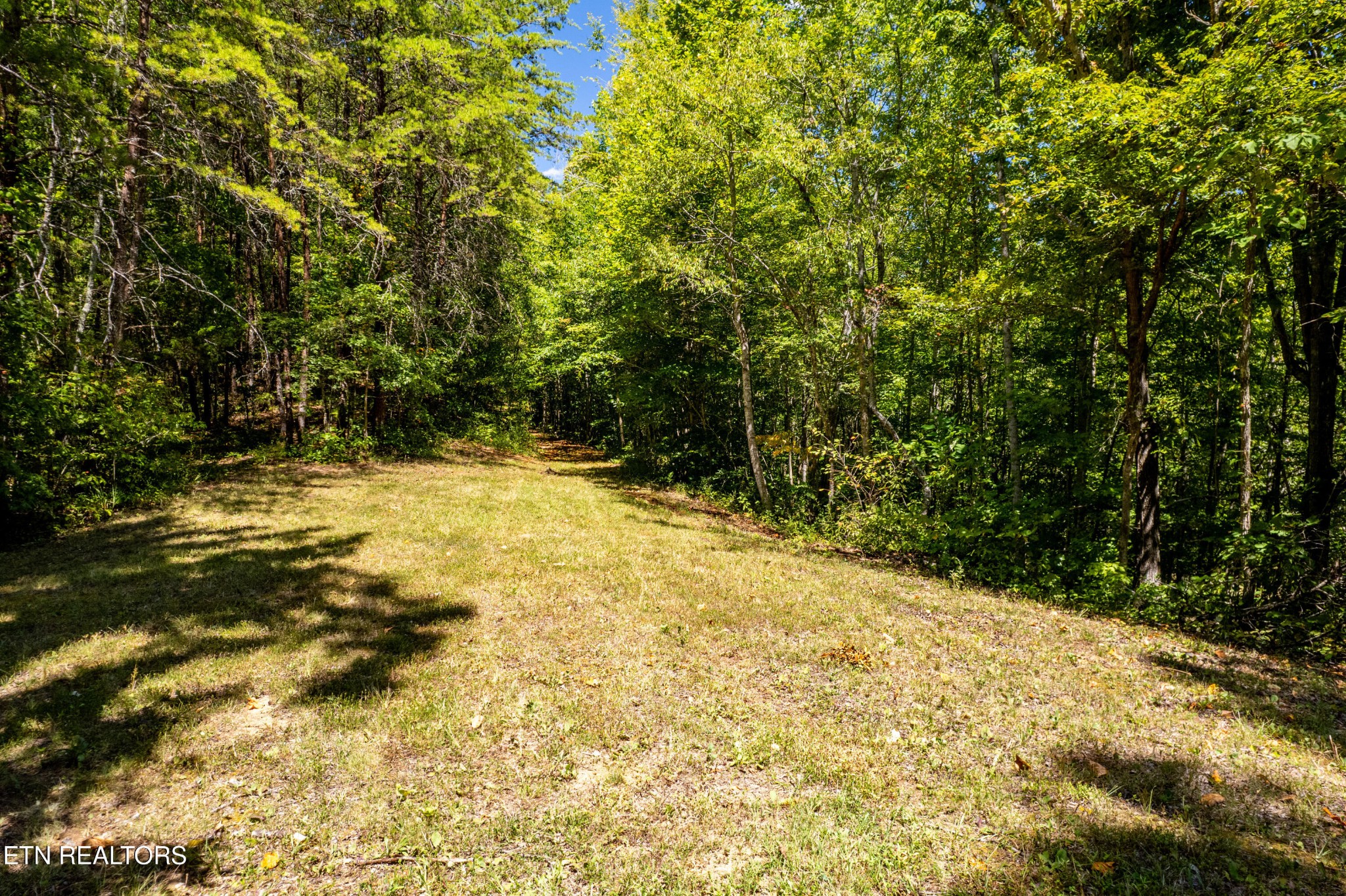 3865 Ballplay Road Tellico Plains, TN 37385 - Photo 25 of 46