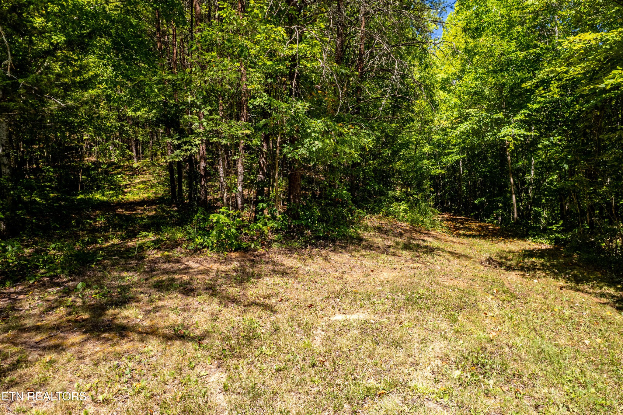 3865 Ballplay Road Tellico Plains, TN 37385 - Photo 26 of 46