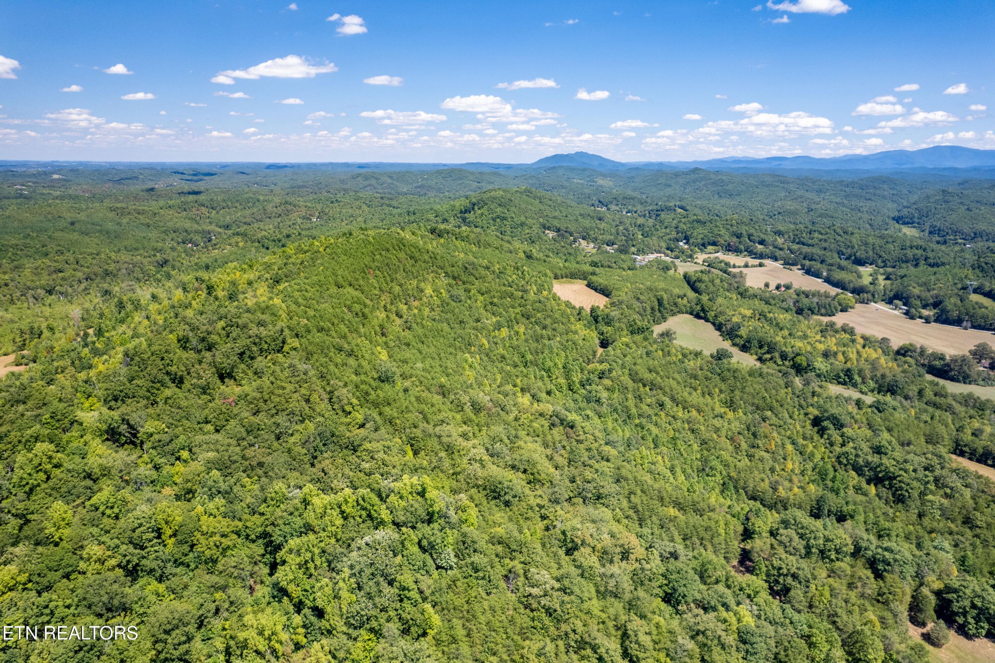 3865 Ballplay Road Tellico Plains, TN 37385 - Photo 40 of 46