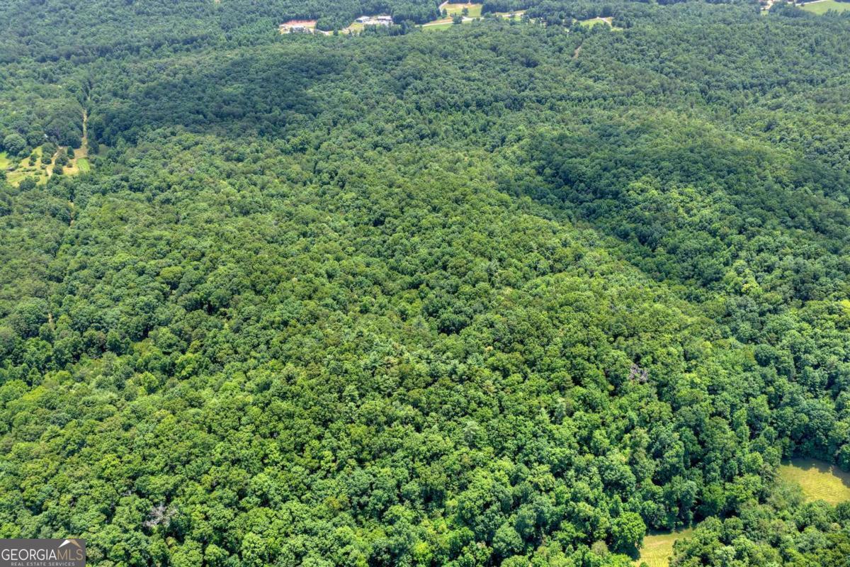 0 Scots Glen Road Mineral Bluff, GA 30559 - Photo 14 of 19