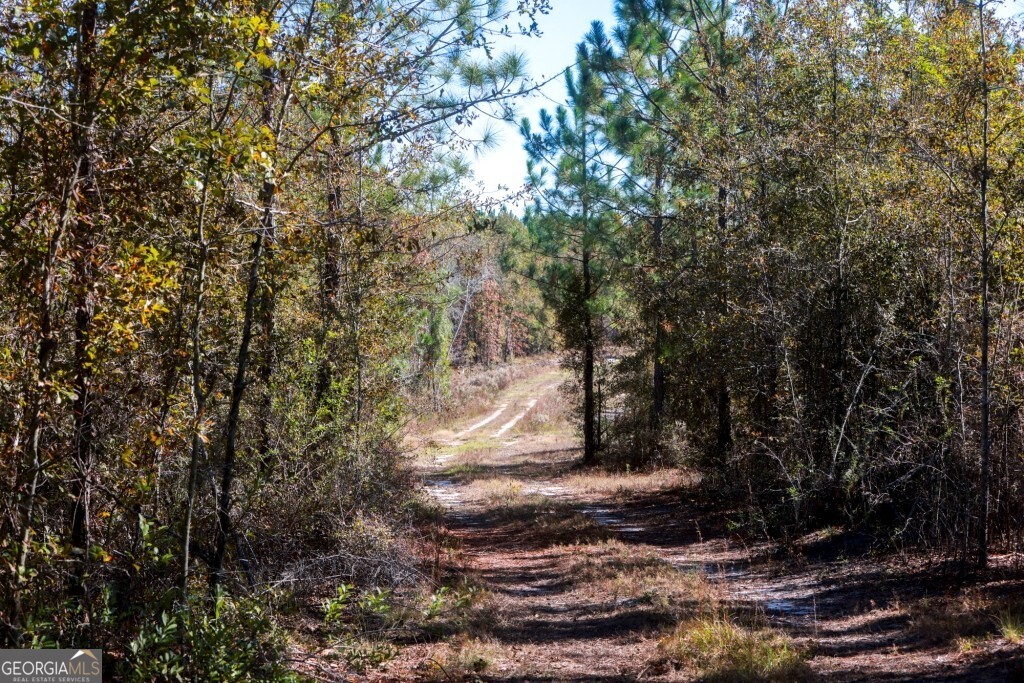 0 Morton Road Dublin, GA 31021 - Photo 21 of 38